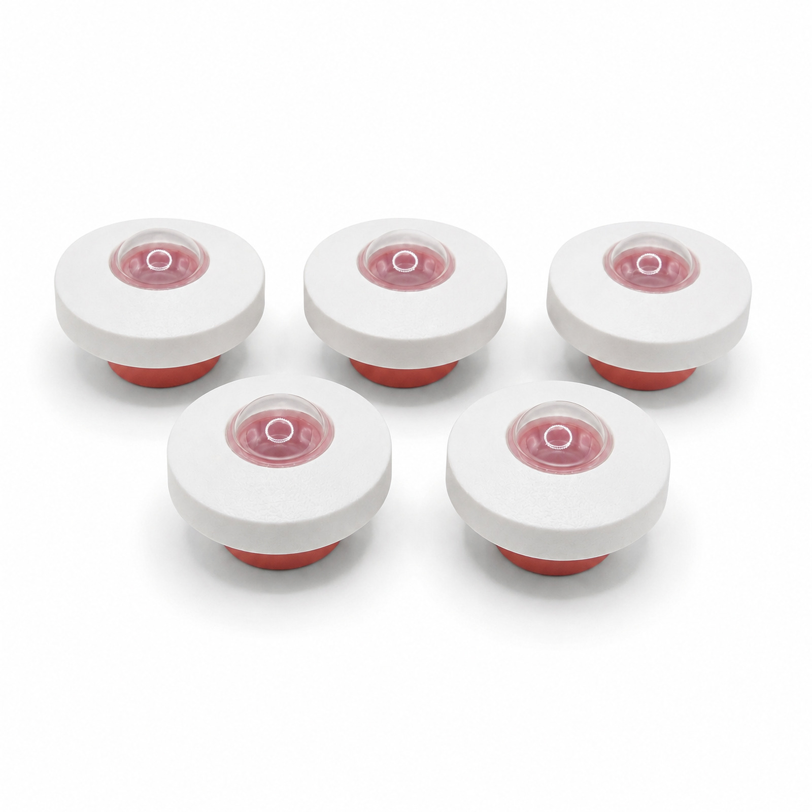 Pacote 5 Olhos Rexis - Vistare